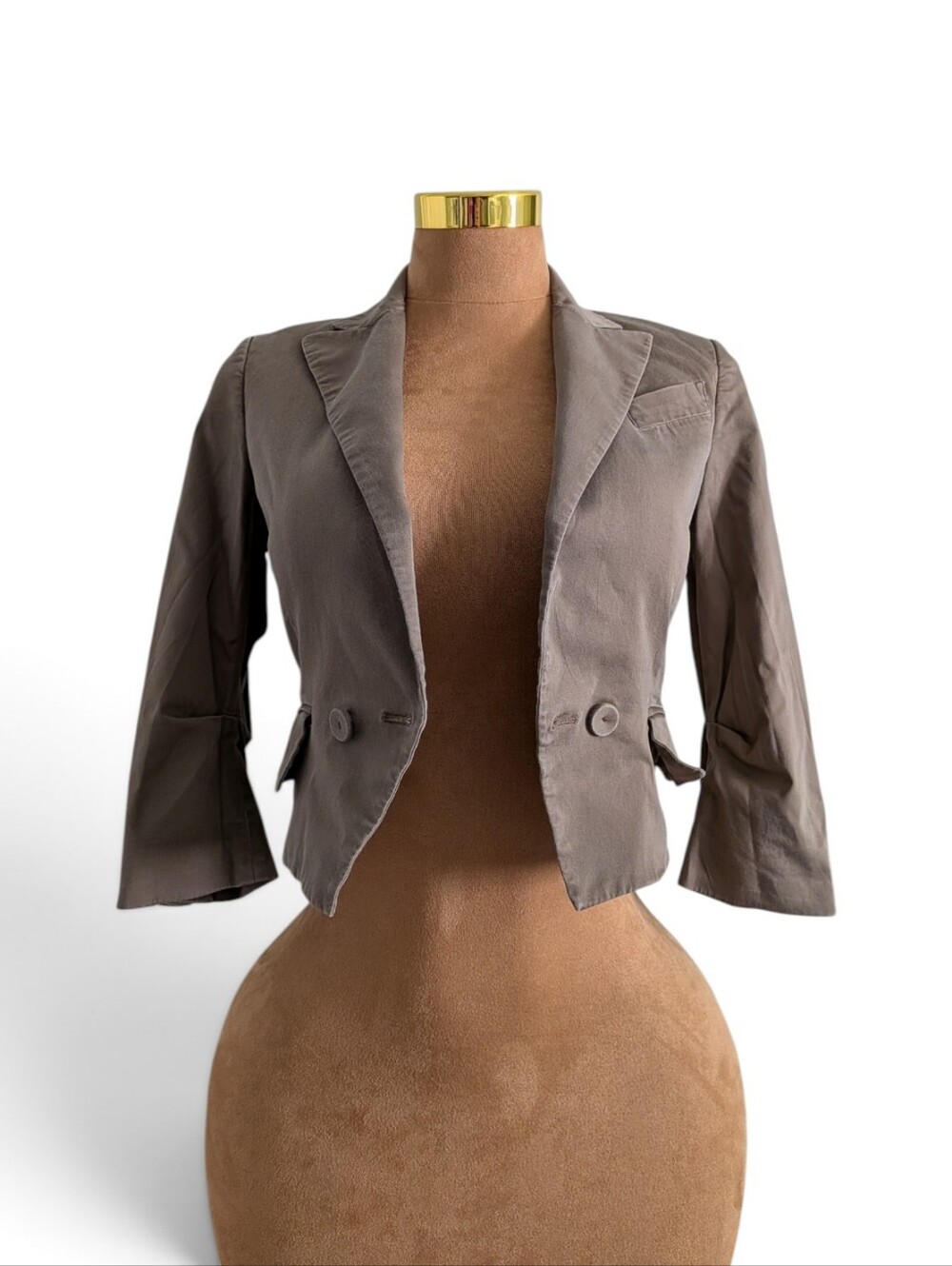 BCBGMaxAzria Vintage Quiet Luxury Taupe Cropped Blazer